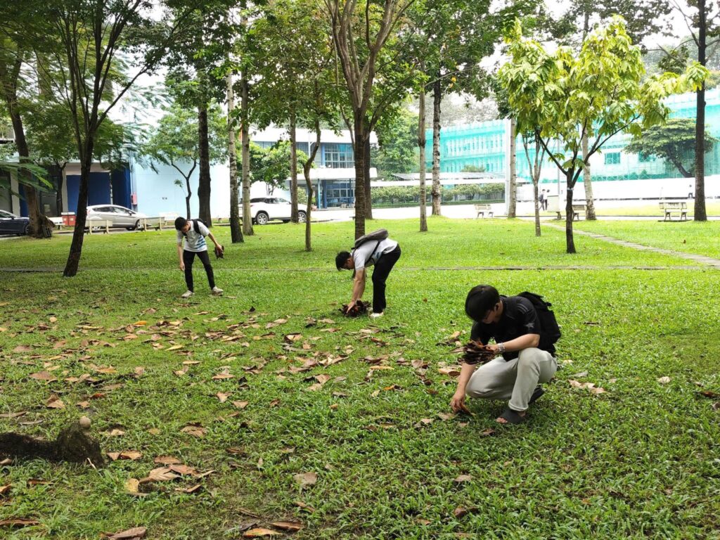 574451887 869893165605731 4630884200474569319 n